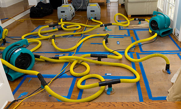 Professional Basement Flood Cleanup technician working in Strausstown, PA